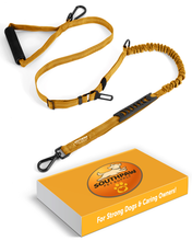 Load image into Gallery viewer, Shock Absorbing Bungee Dog Leash with Seatbelt Buckle and Comfortable Padded Grip, Highly Reflective Bungee Leash for Large Dogs, Stretch Leash Extendable from 4ft to 9 ft.