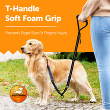 Load image into Gallery viewer, Shock Absorbing Bungee Dog Leash with Seatbelt Buckle and Comfortable Padded Grip, Highly Reflective Bungee Leash for Large Dogs, Stretch Leash Extendable from 4ft to 9 ft.