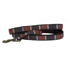 Load image into Gallery viewer, Pendleton National Park Hiking Collar
