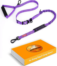 Load image into Gallery viewer, Shock Absorbing Bungee Dog Leash with Seatbelt Buckle and Comfortable Padded Grip, Highly Reflective Bungee Leash for Large Dogs, Stretch Leash Extendable from 4ft to 9 ft.
