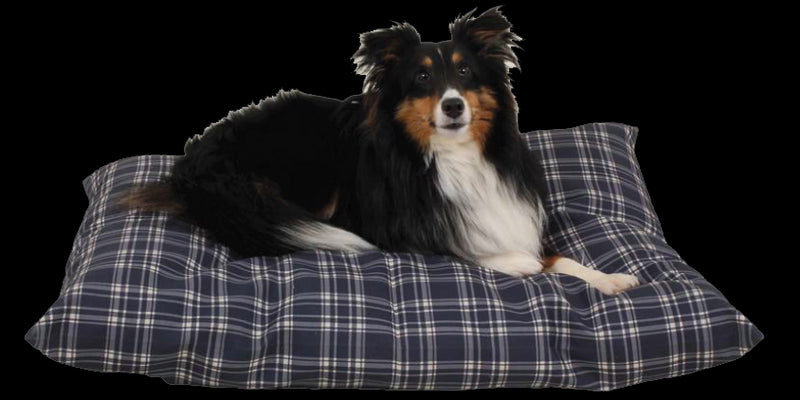 Carolina Pet Company Plaid Shebang Rectangle