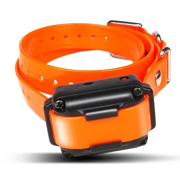 Dogtra IQ Plus Additional Collar