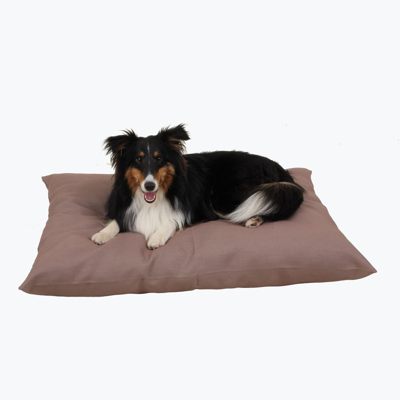 Carolina Pet Company Solid Shebang Rectangle