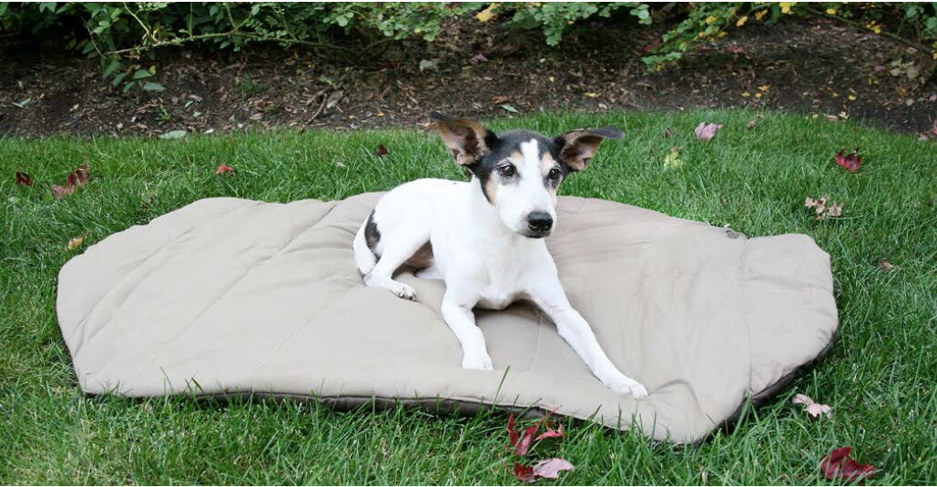 Carolina Pet Company Bed in a Bag