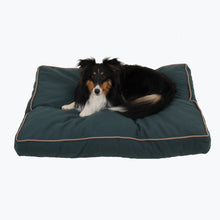 Load image into Gallery viewer, Carolina Pet Company Solid Faux Gusset Jamison
