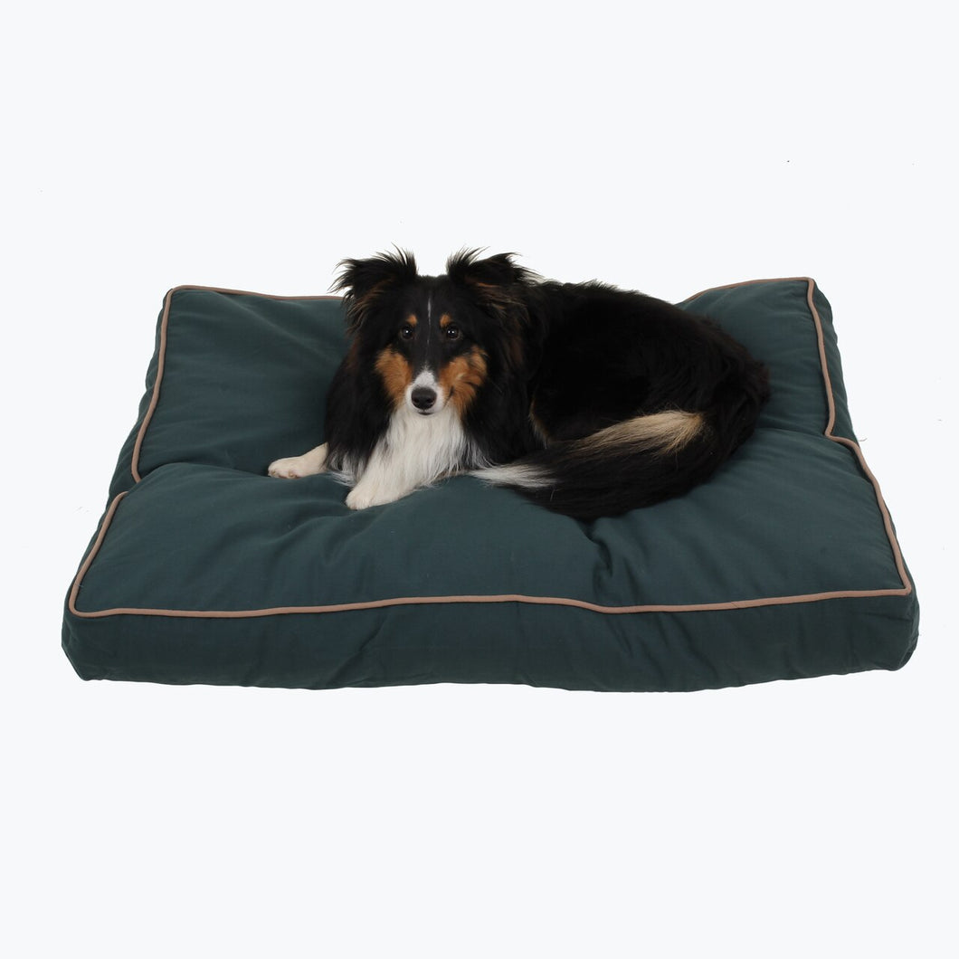 Carolina Pet Company Solid Faux Gusset Jamison