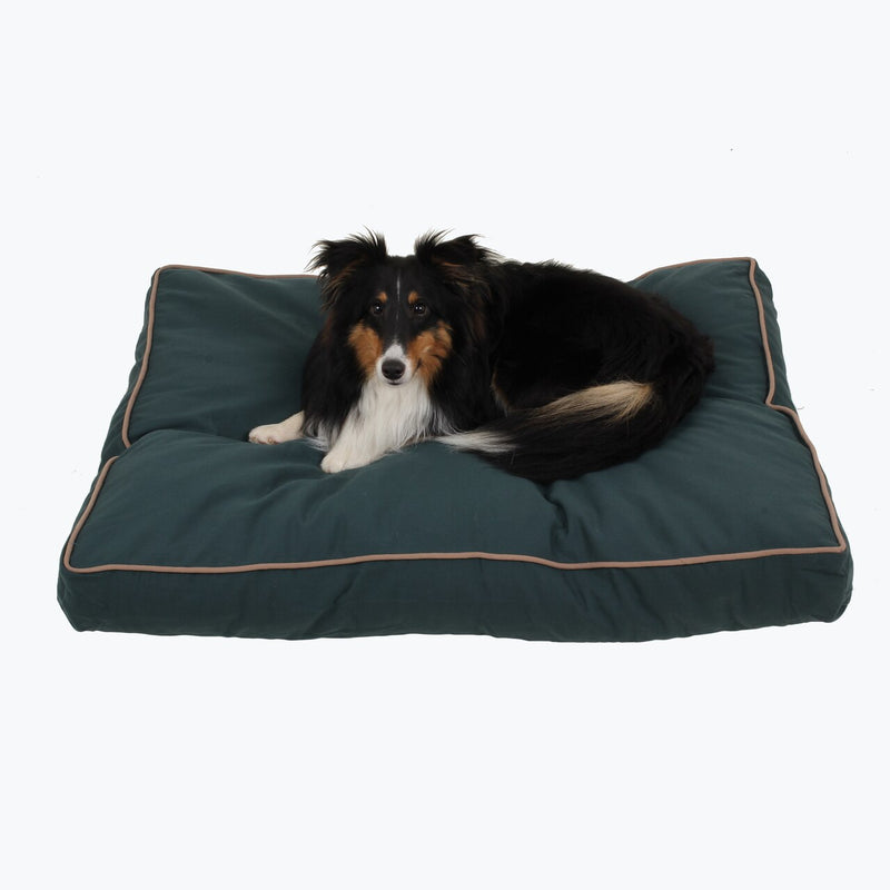 Carolina Pet Company Solid Faux Gusset Jamison