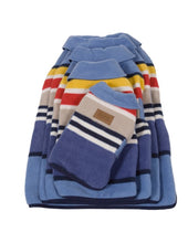 Load image into Gallery viewer, Pendleton National Park Dog Coat
